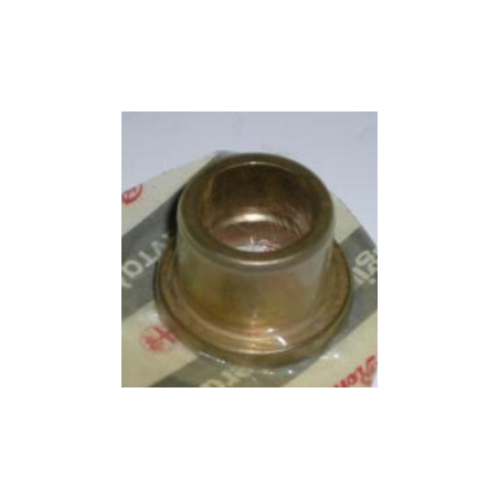 Bush for timing chain wheel in front cover