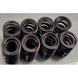 Ventilfeder Satz, Motorsport