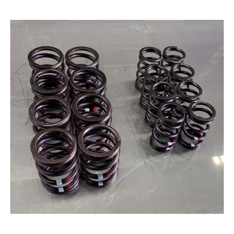 Ventilfeder Satz, Motorsport