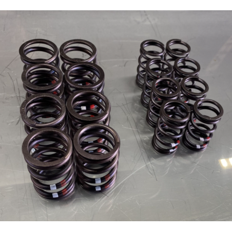 Ventilfeder Satz, Motorsport