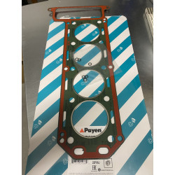 Head gasket 2000, Payen...