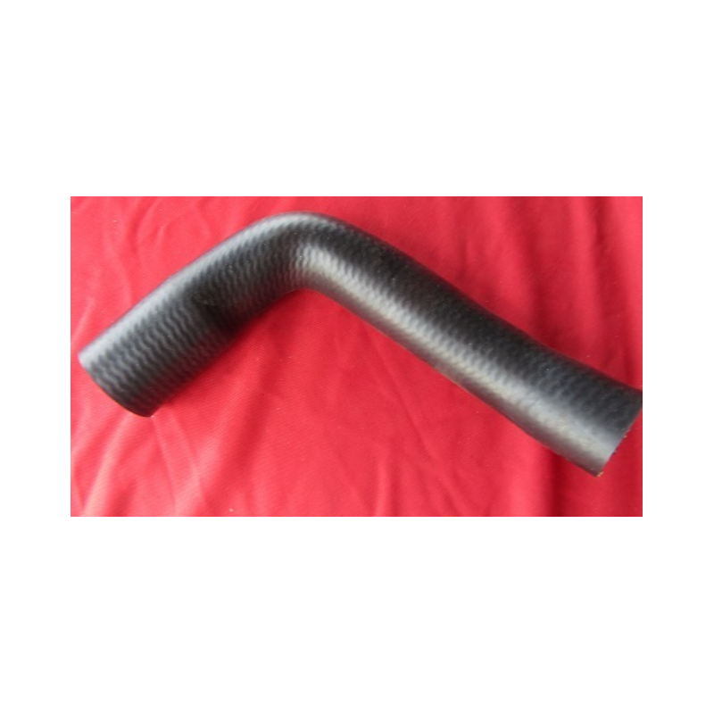 Kühlerschlauch unten - Spider & Spider Veloce