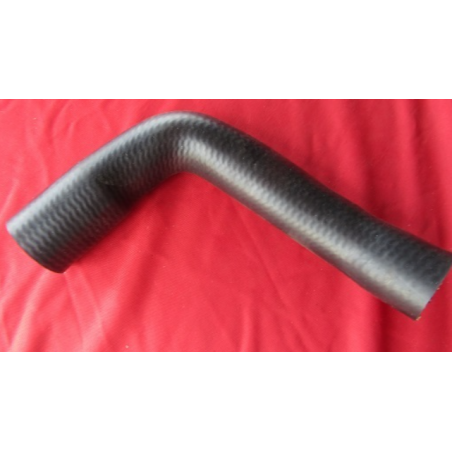 Kühlerschlauch unten - Spider & Spider Veloce